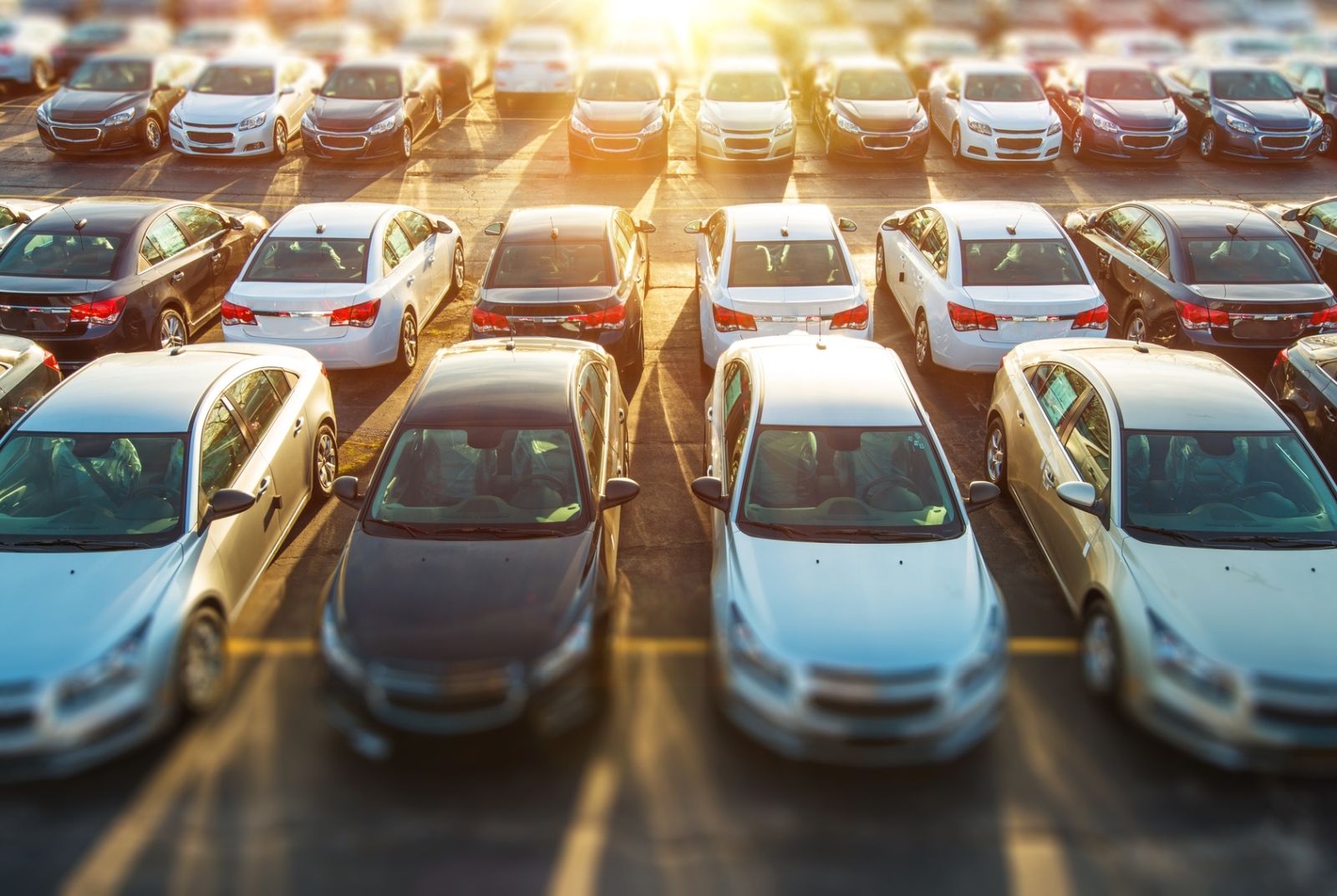 eladásra váró használt autók sorakoznak egymás mellett egy kereskedésben